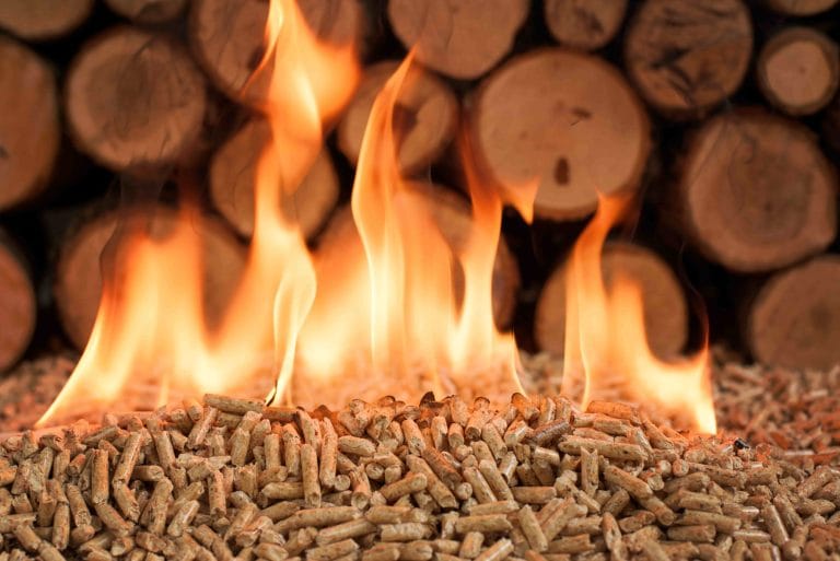 Biomass boiler: everything you need to know